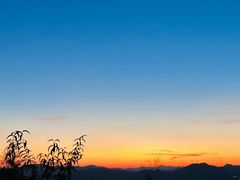 -长虫山生态公园风景林