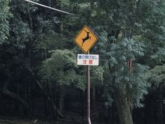 -奈良公园