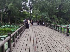-八卦田遗址公园
