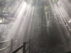 -青青世界