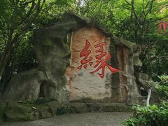 -杭州黄龙洞