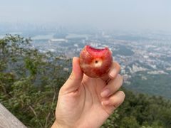 -紫金山山顶公园