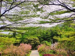 -广州市帽峰山景区