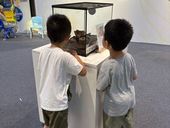 -DR·KONG江博士健康鞋(领展中心城店)