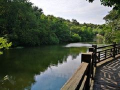 -白马涧龙池景区
