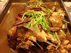 胖头鱼-张氏鱼庄