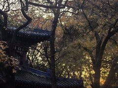 -灵谷景区