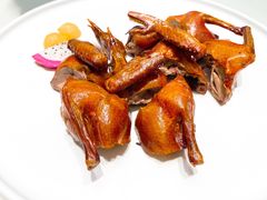 -千灯盛汇·头牌粤菜(致越优城店)