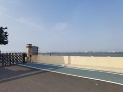 -大湾区中央湿地公园