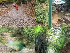 -南海湾森林生态园