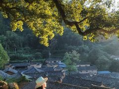 -杨家堂村