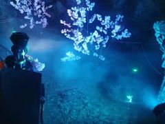-洞穴餐厅