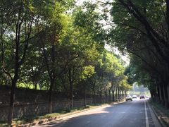 -久健盲人推拿(春江佳园店)