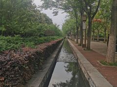 -洛阳市隋唐城遗址植物园