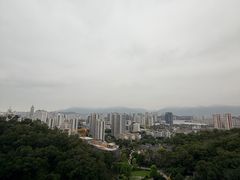 -金鸡山公园