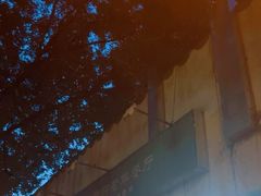 -大益烤鸡