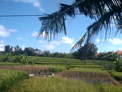 -脏鸭餐厅(乌布总店)