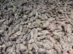 -新疆国际大巴扎-二道桥清真寺