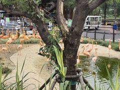 -武汉动物园