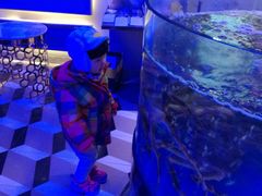 -蟹之国·精品蟹料理(极地店)