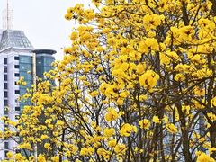 -龙湖重庆时代天街