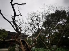 -汇龙潭