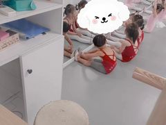 -西安小天鹅艺术团(金花路校区)