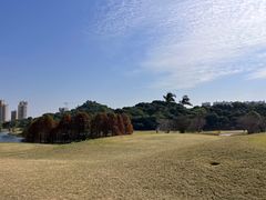 -南沙高尔夫球会