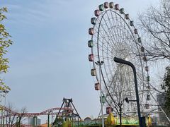 -洋湖国家湿地公园