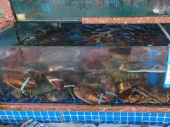 -海香园饭店