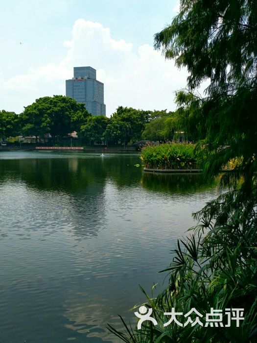 荔湾湖公园图片 - 第372张