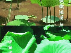 -龙头寺公园