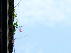 -玉林生活广场