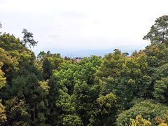 -南山植物园