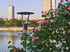 -映月湖中央公园