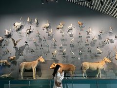-中国湿地博物馆
