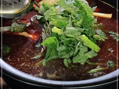 -老杨砂锅鱼庄
