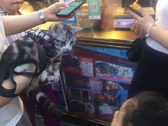 -海口骑楼小吃街