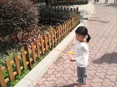 -东风公园