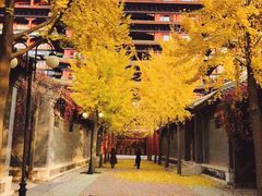 -大明幻境第一城