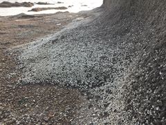 -红岛休闲渔村