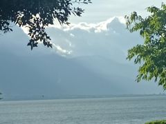 -野菌皇海景野生菌火锅(滨海大道店)