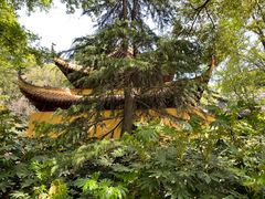 -狼山风景名胜区