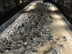 -天女山森林公园