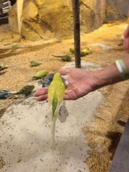 -酷嗒动物文化乐园(cutezoo西溪乐天城店)