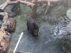 -深圳野生动物园