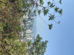 -金鸡山公园