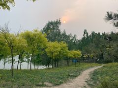 -东郊湿地公园