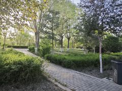-鲤鱼山公园