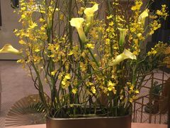 -花城苑广府菜(侨鑫店)